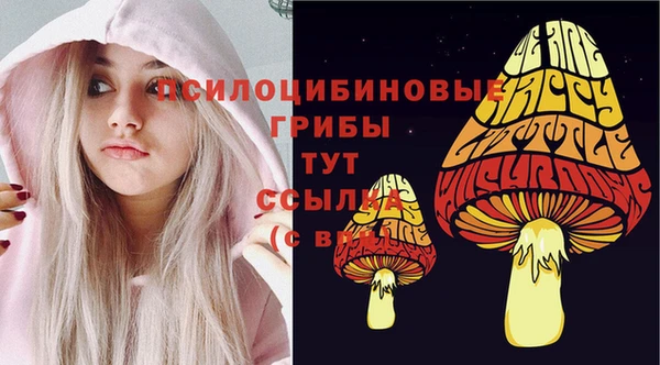 герыч Пересвет