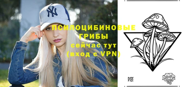 тгк Абинск