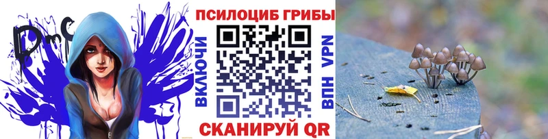 Галлюциногенные грибы GOLDEN TEACHER купить наркотик Власиха